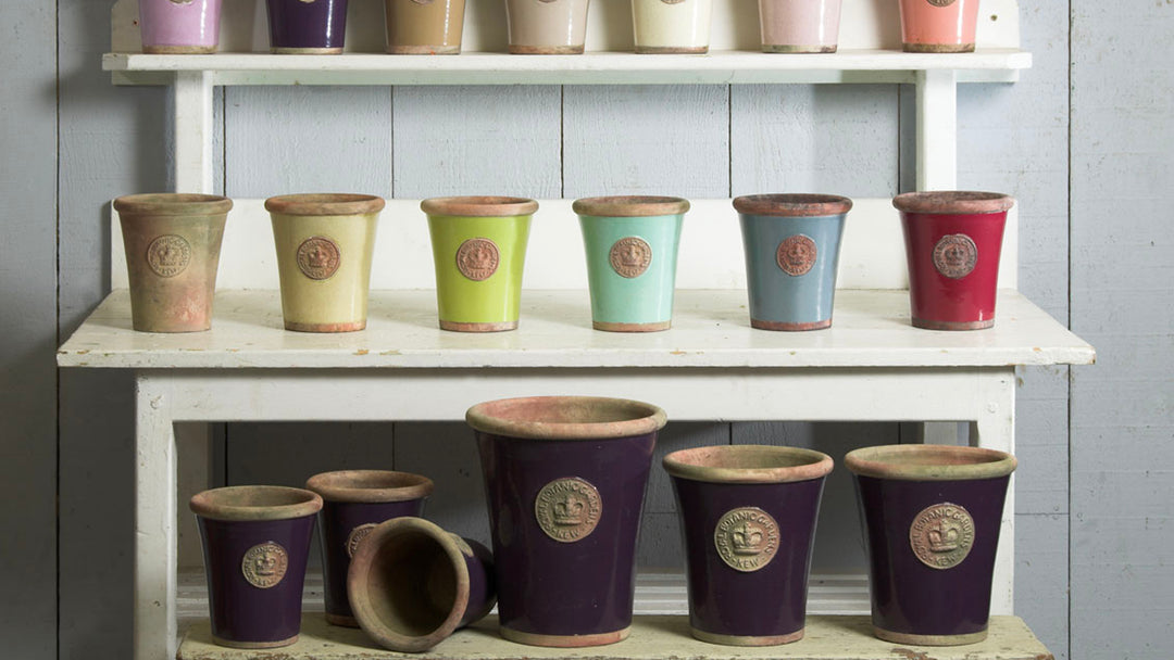 Royal Botanical Kew Pottery
