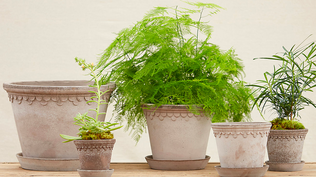 Collection of terracotta pots and saucers from Bergs Potter, Denmark