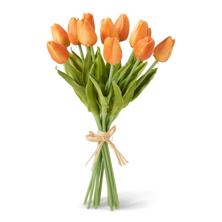 Mini Tulip Bundle