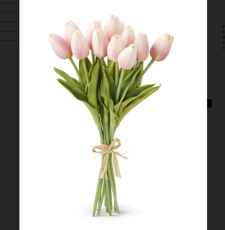 Mini Tulip Bundle