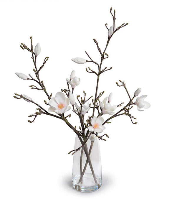 Tulip Magnolia Branches in Vase