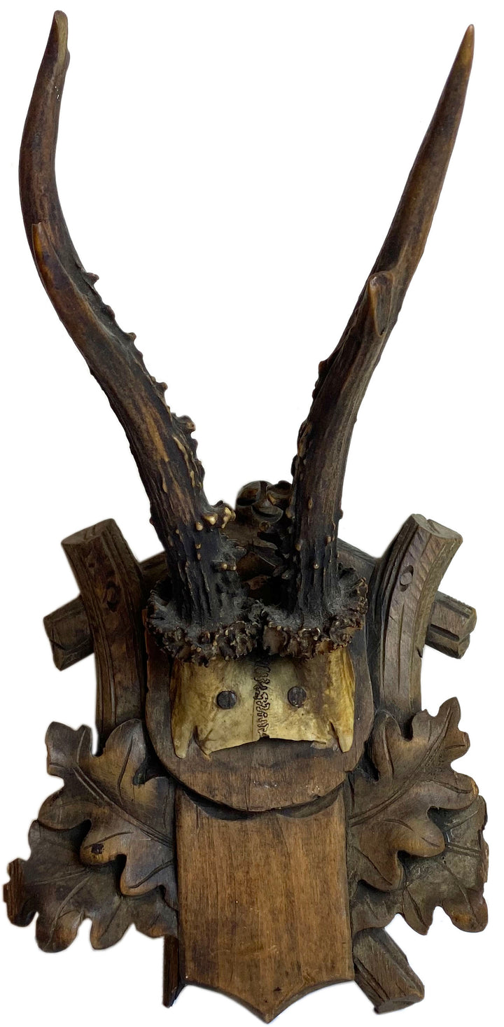Black Forest Hunting Trophy
