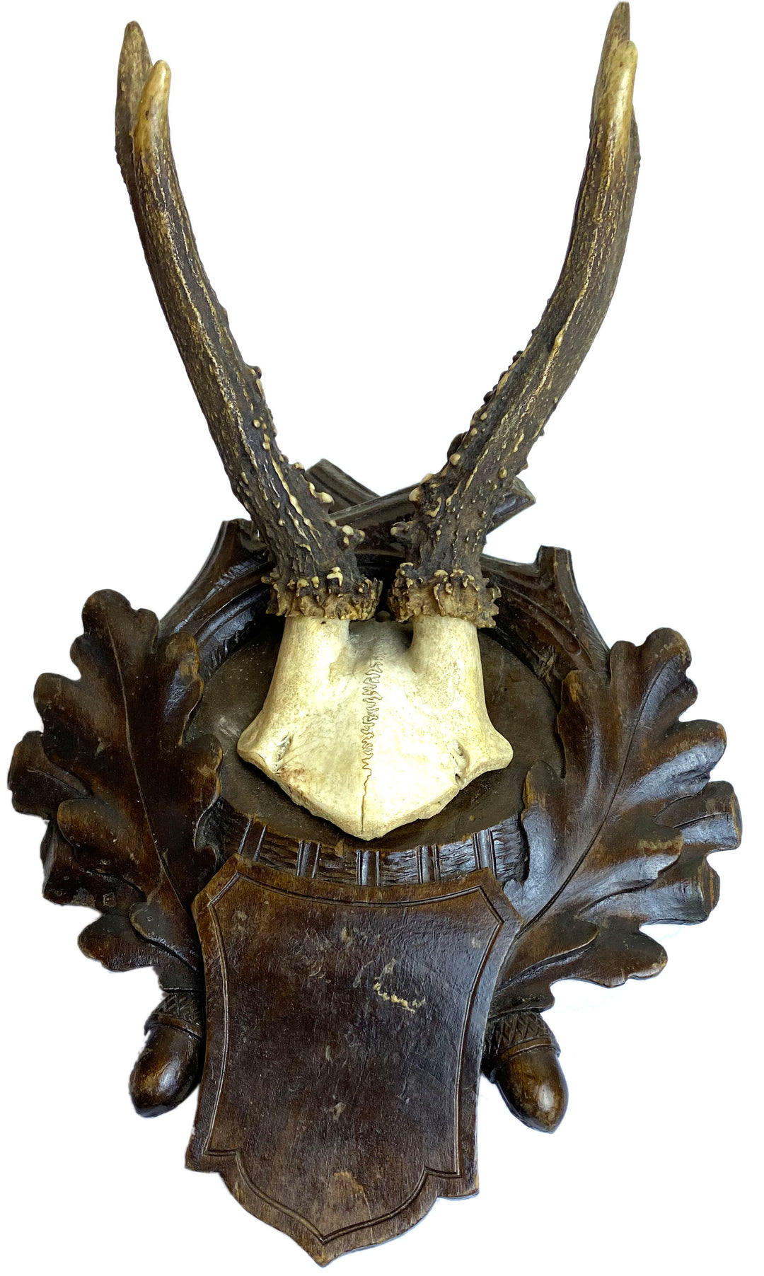 Black Forest Hunting Trophy