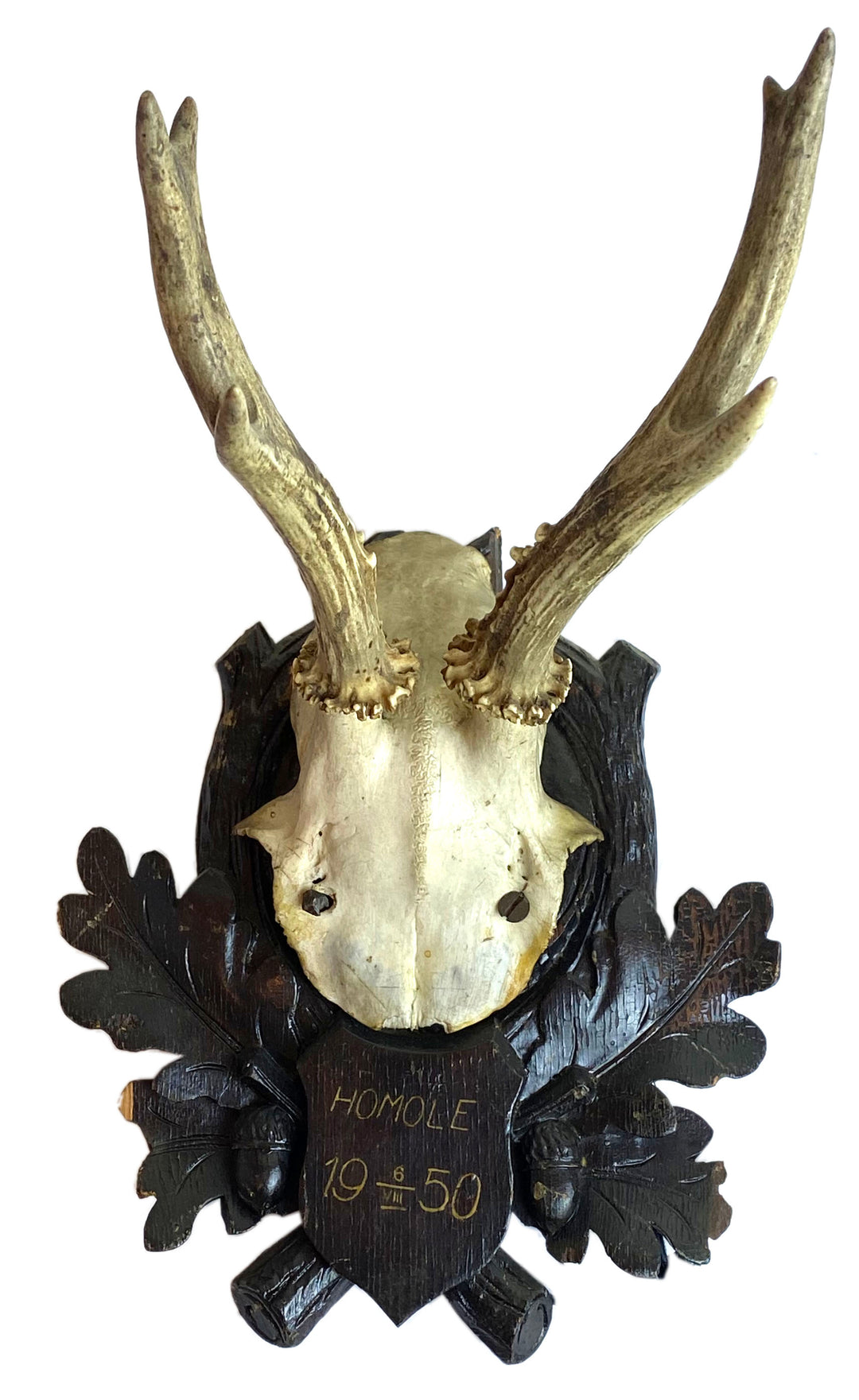 Black Forest Hunting Trophy