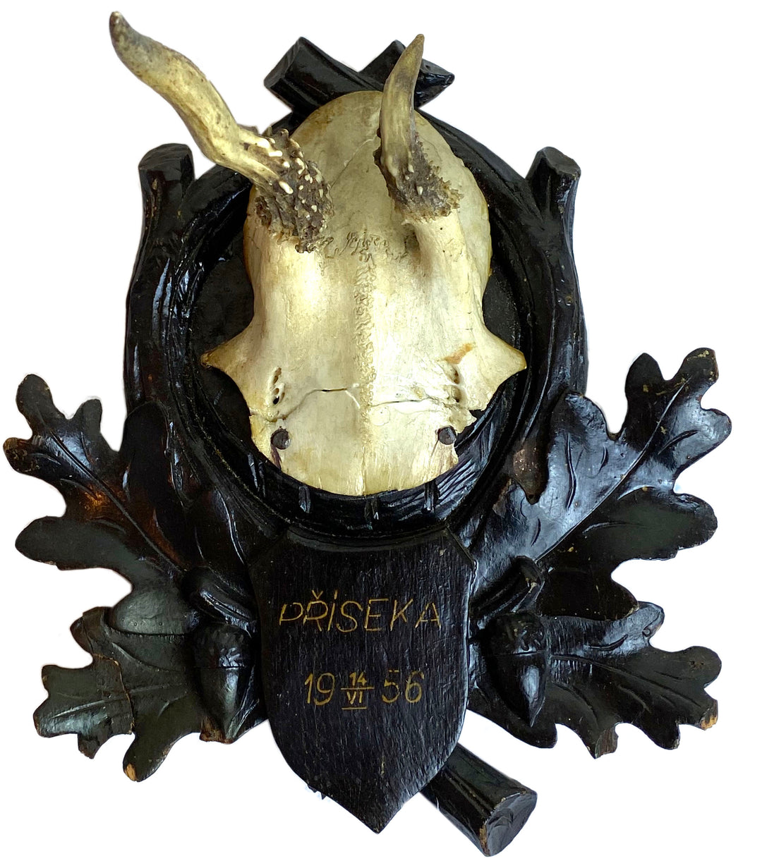 Black Forest Hunting Trophy