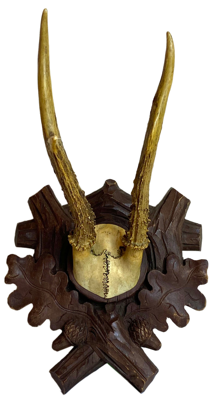 Black Forest Hunting Trophy
