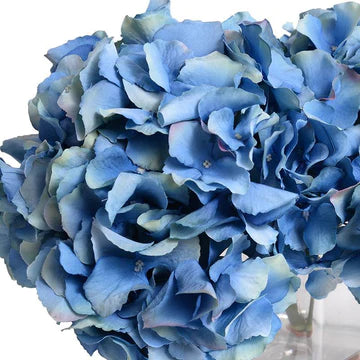 Hydrangea in Cube Vase