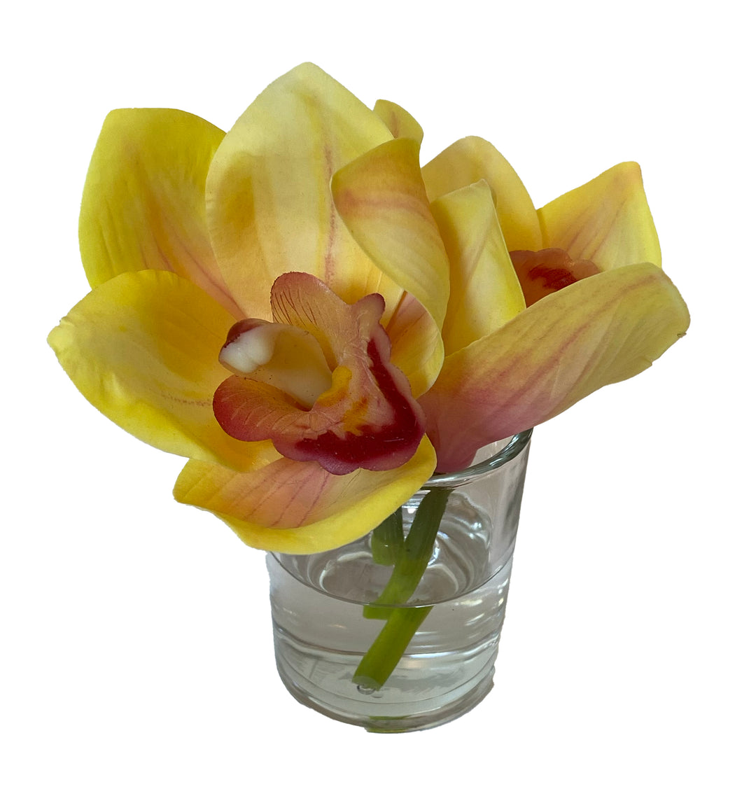 Yellow Orchid Blossom in 2" Round Glass Vase