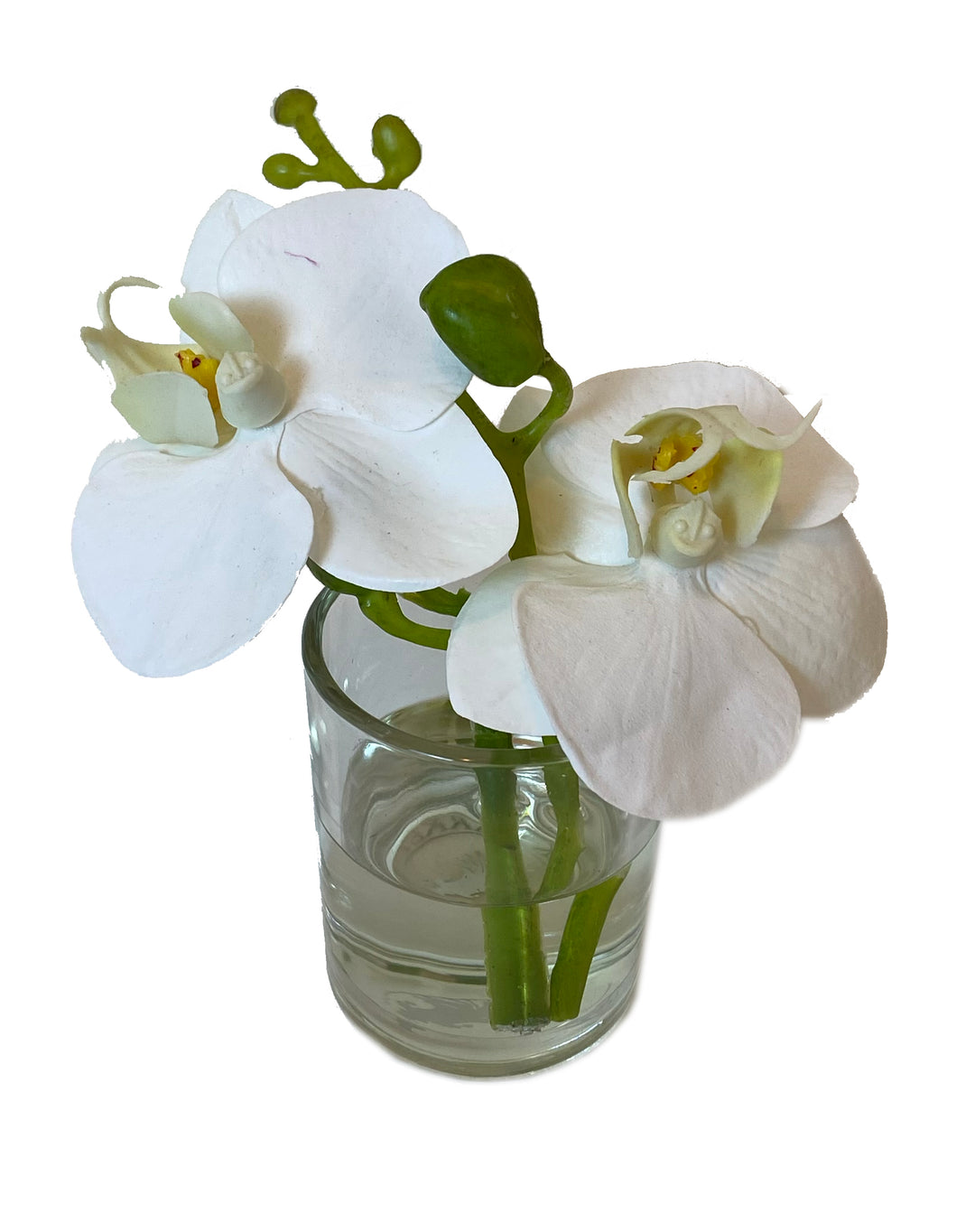 White Double Orchid Bloom in Round Glass Vase