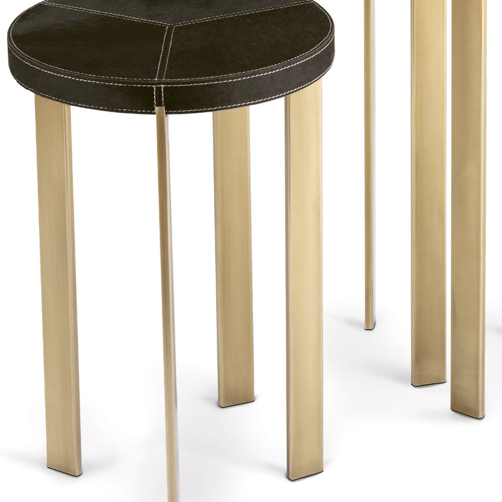Andres Hair on Hide Table