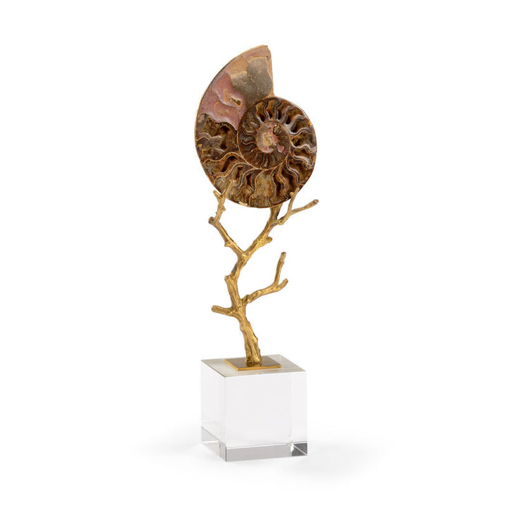 Ammonoidea Sculpture