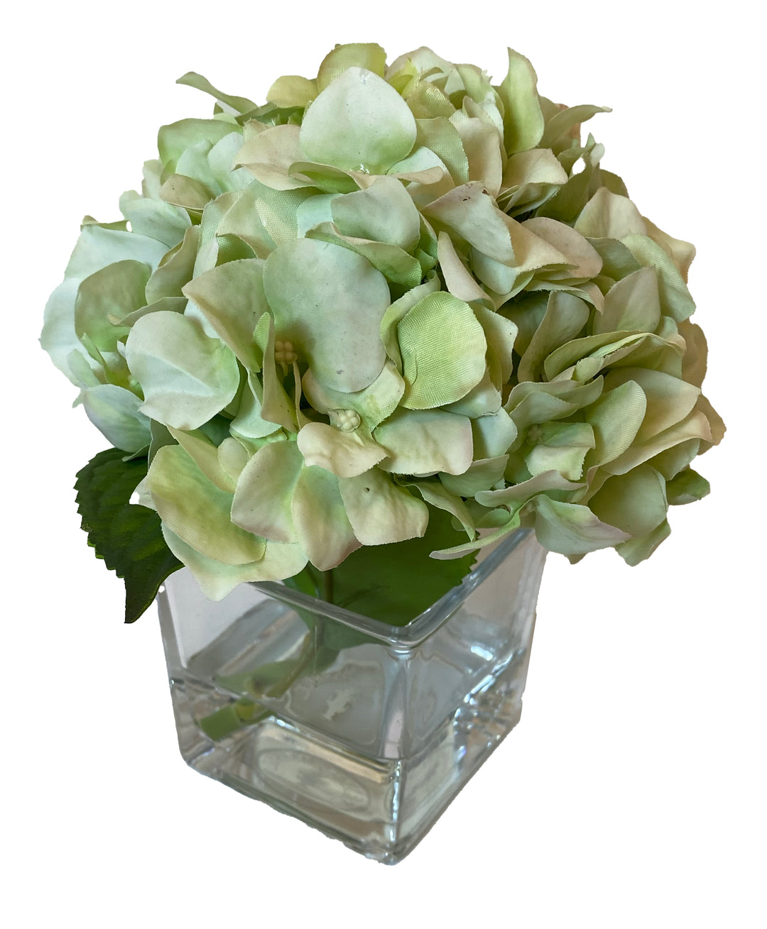 Green Hydrangea in 3" Glass Cube