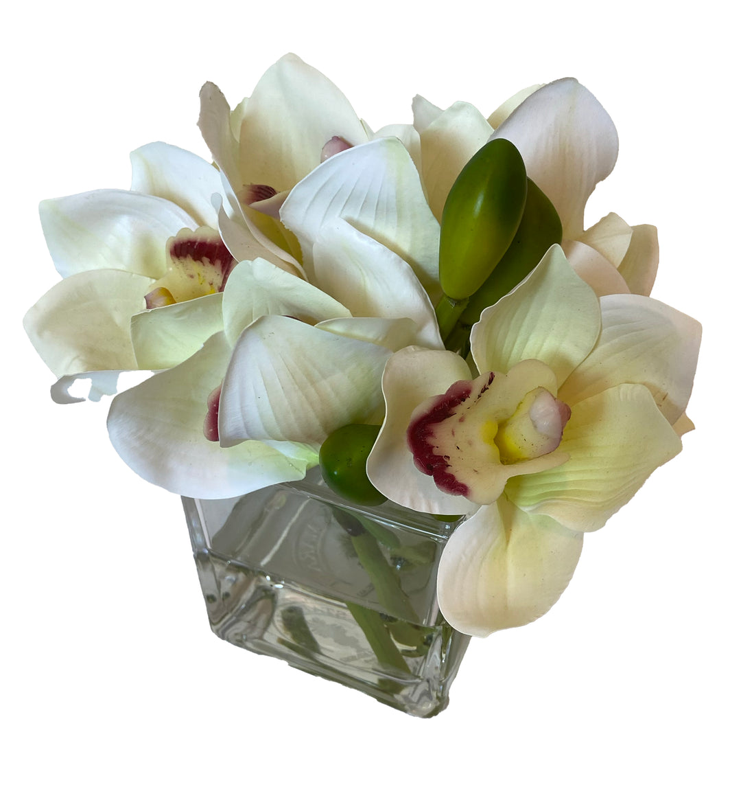 White Orchid Arrangement in 3" Glass Cube