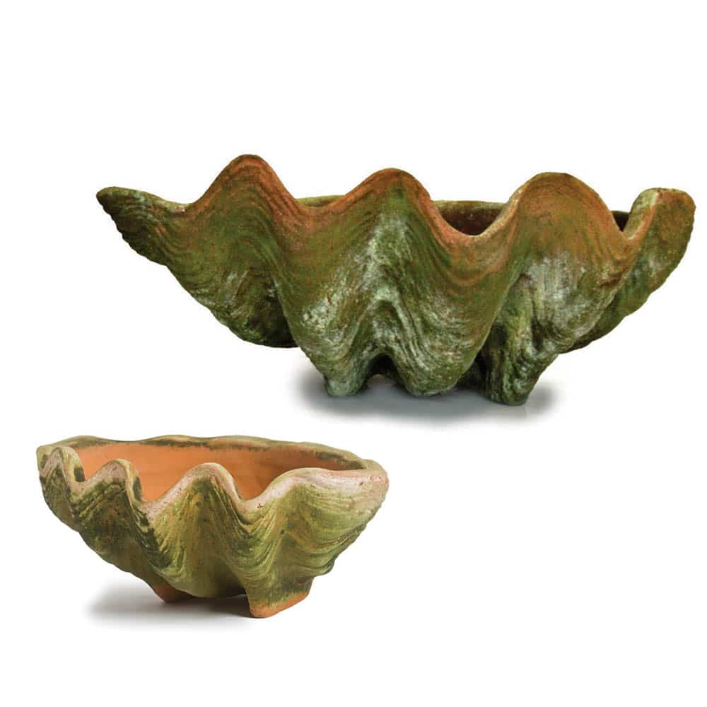 Aged Conch Shell Planter