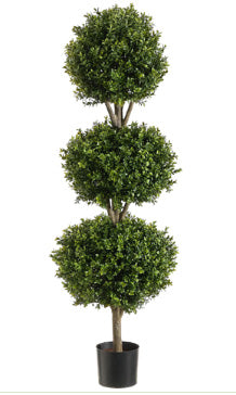 Tri-Ball Boxwood Topiary-4 feet