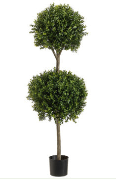 Double Boxwood Topiary-4 feet