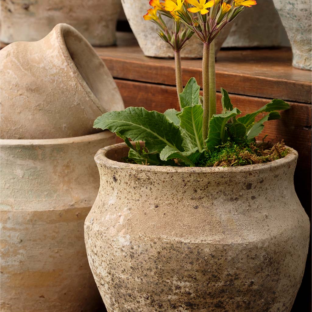 Vicolo Urn Collection