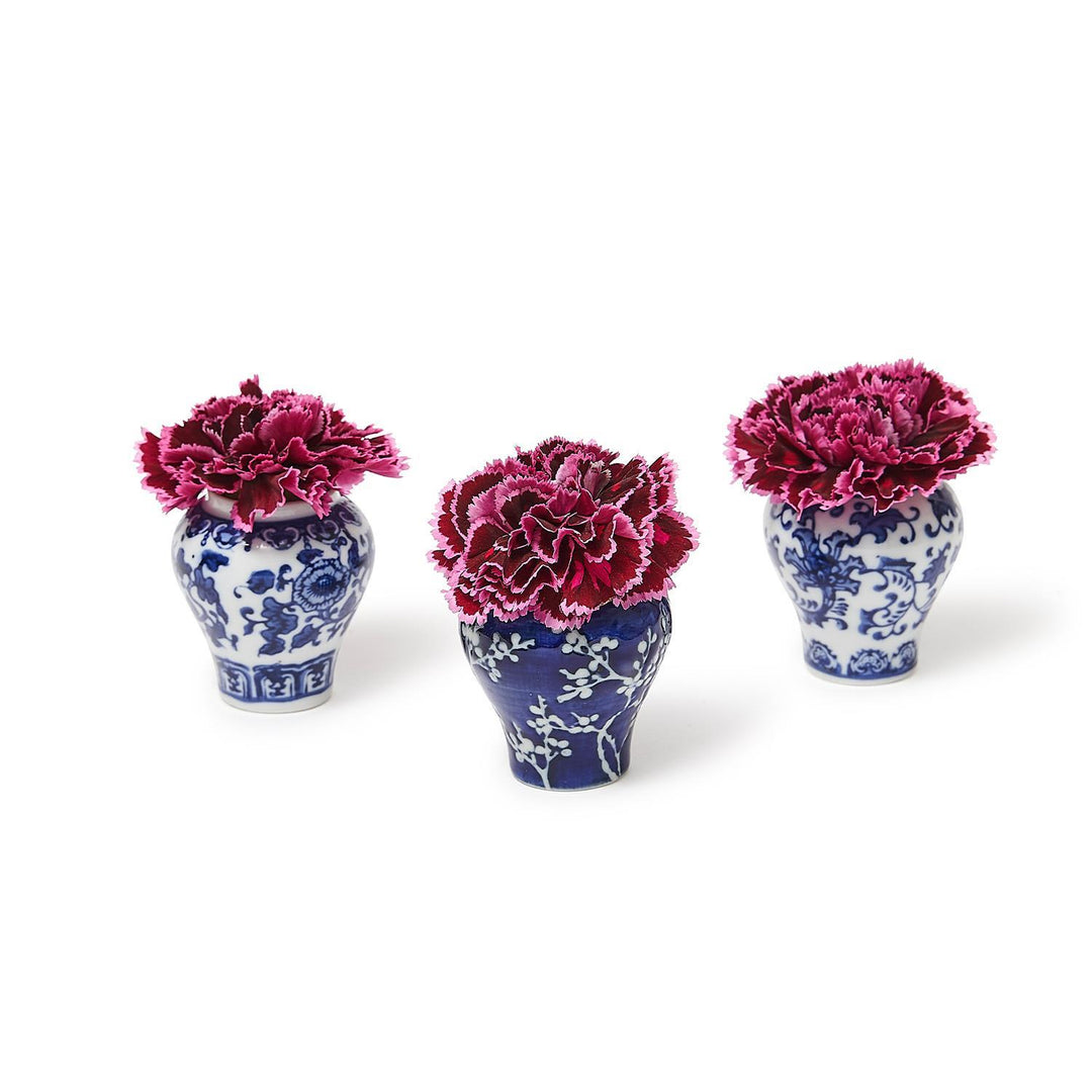 B&W Mini Ginger Jar with Picks, Assorted