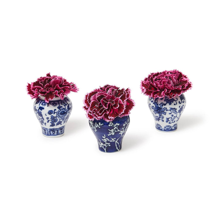 B&W Mini Ginger Jar with Picks, Assorted