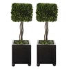 Preserved Boxwood Square Topiaries, Set/2