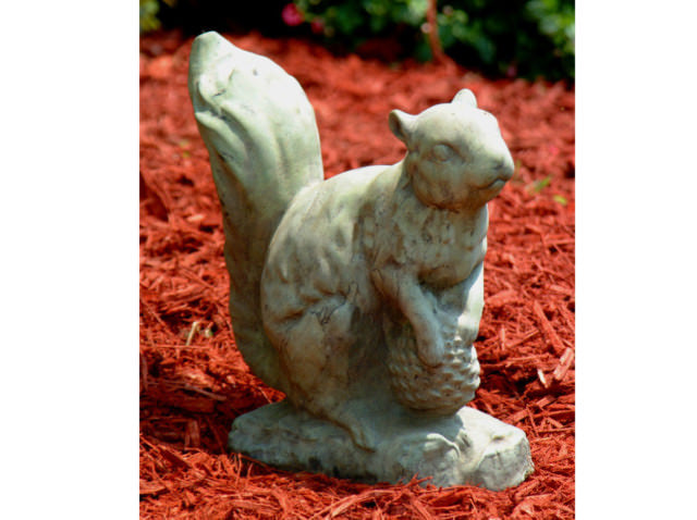 Squirrel with Pinecone
