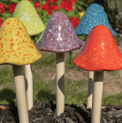 Tippy Top Mushroom