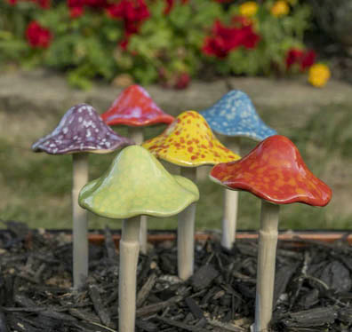 Tippy Top Mushroom