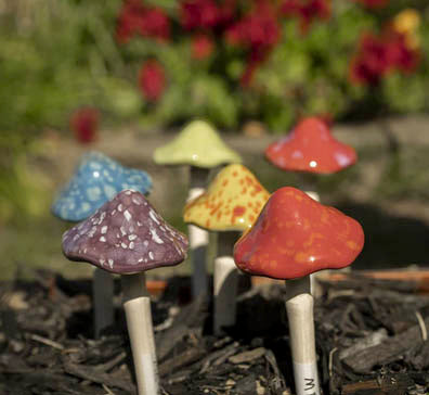 Tippy Top Mushroom