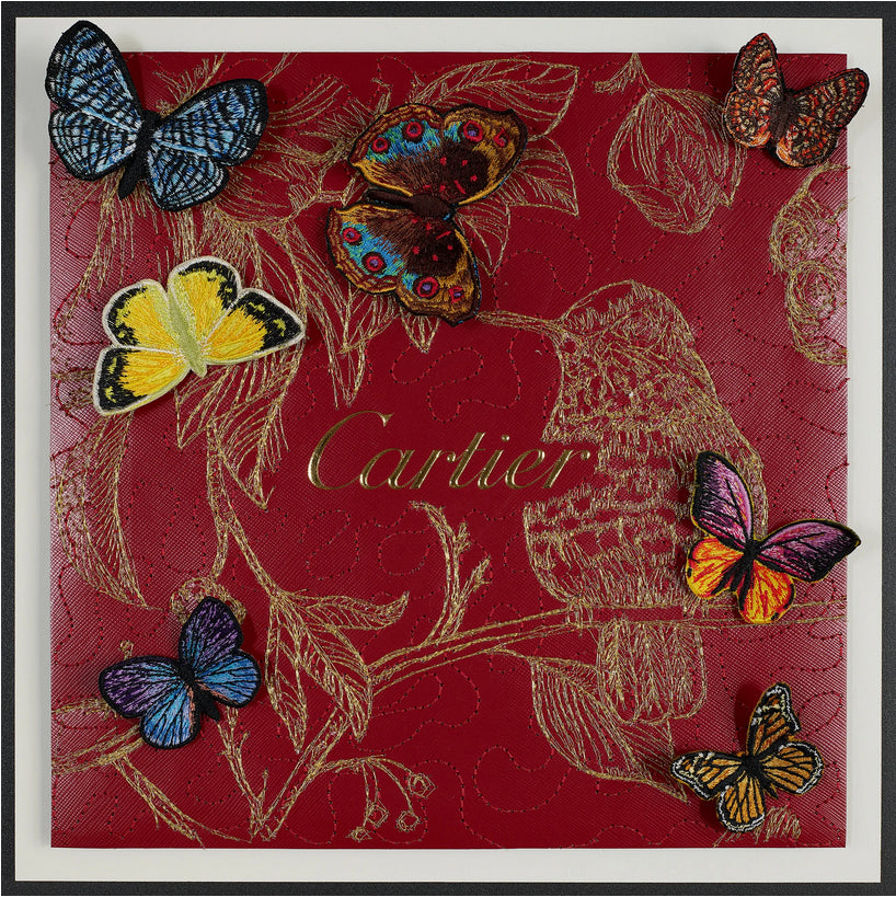 Stephen Wilson Collection