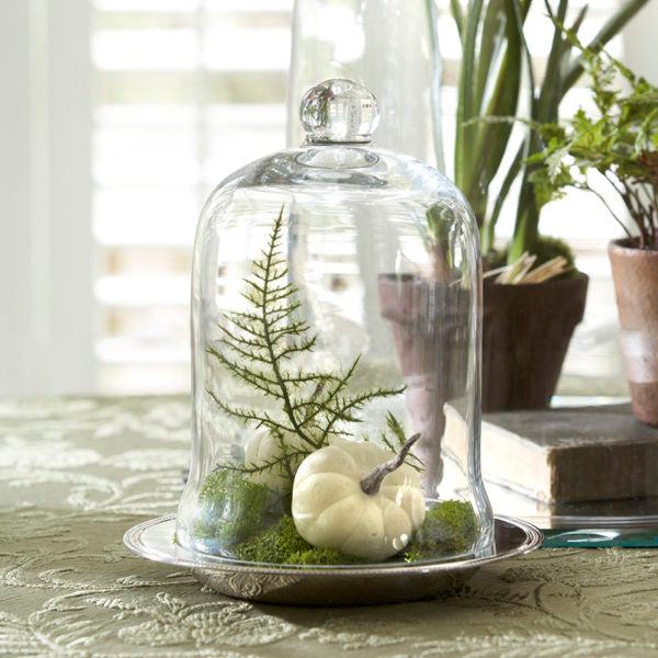 Glass Cloche 5x7