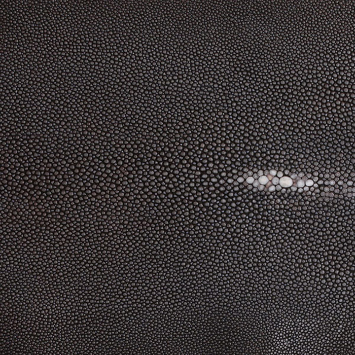 Steel & Shagreen Handle Tray