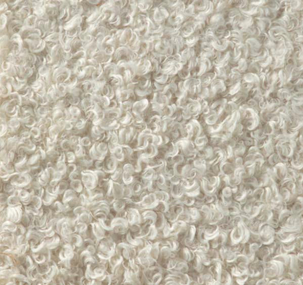 Pillow Lumbar - Curly