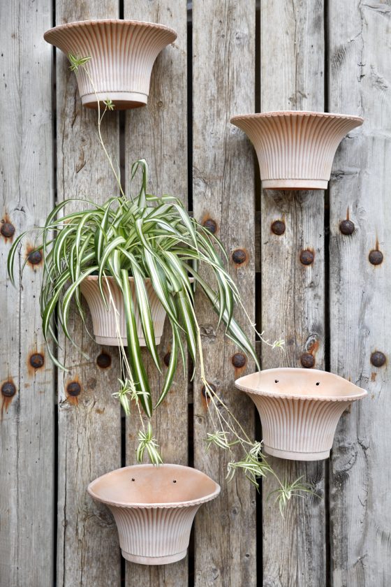 daisy plant pot Daisy Wall Pot – Patina Polished Living