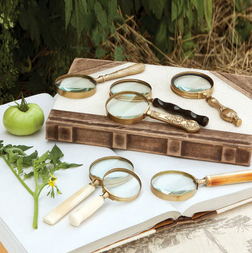 Magnifying Glass, Assorted Styles