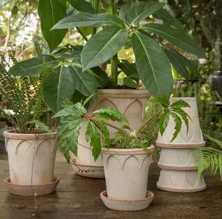 Elizabeth Pot