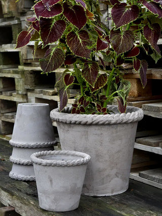 Emilia Pot