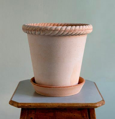 Emilia Pot
