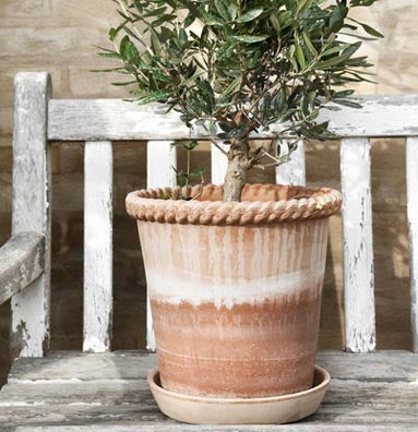 Emilia Pot