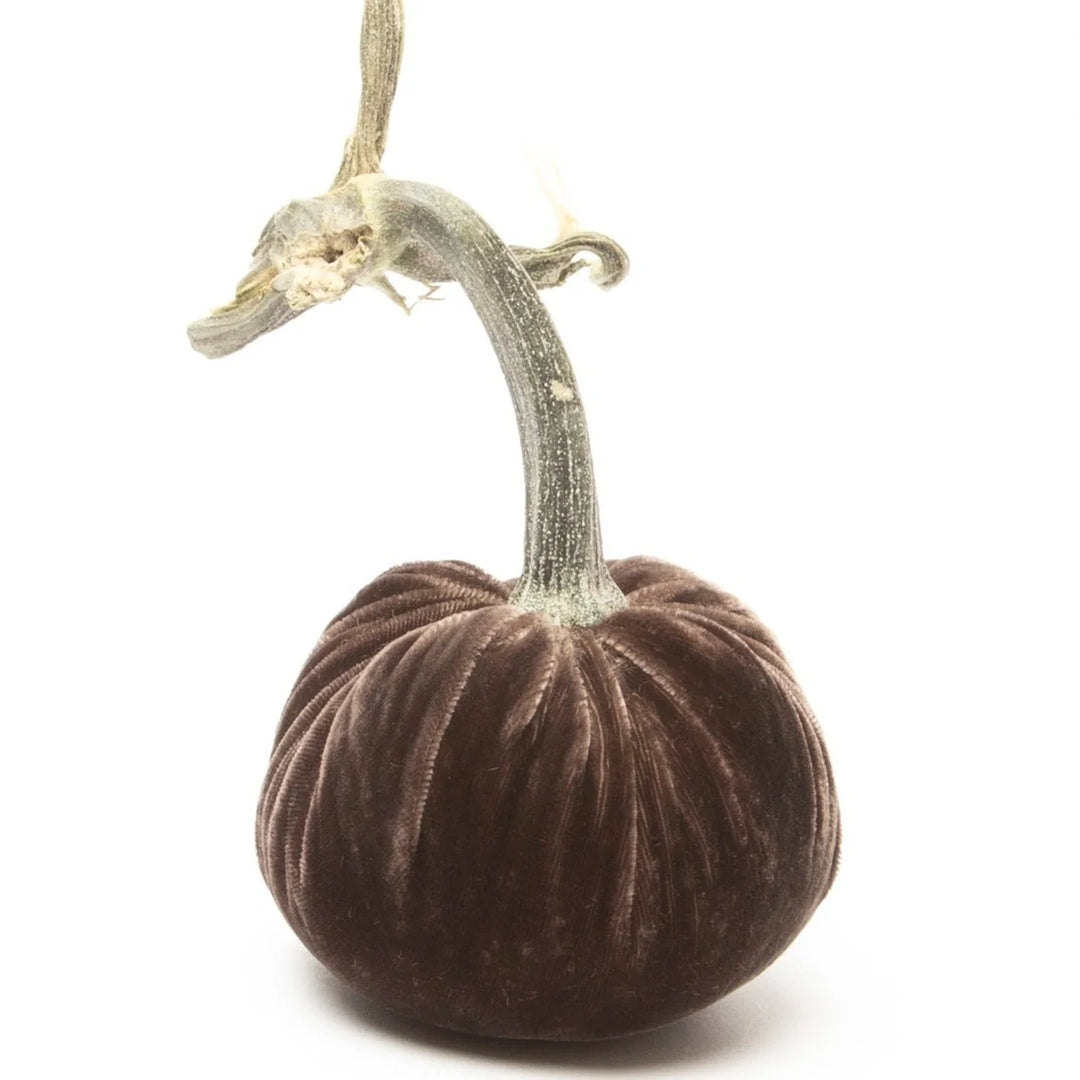 Silk Velvet Pumpkins