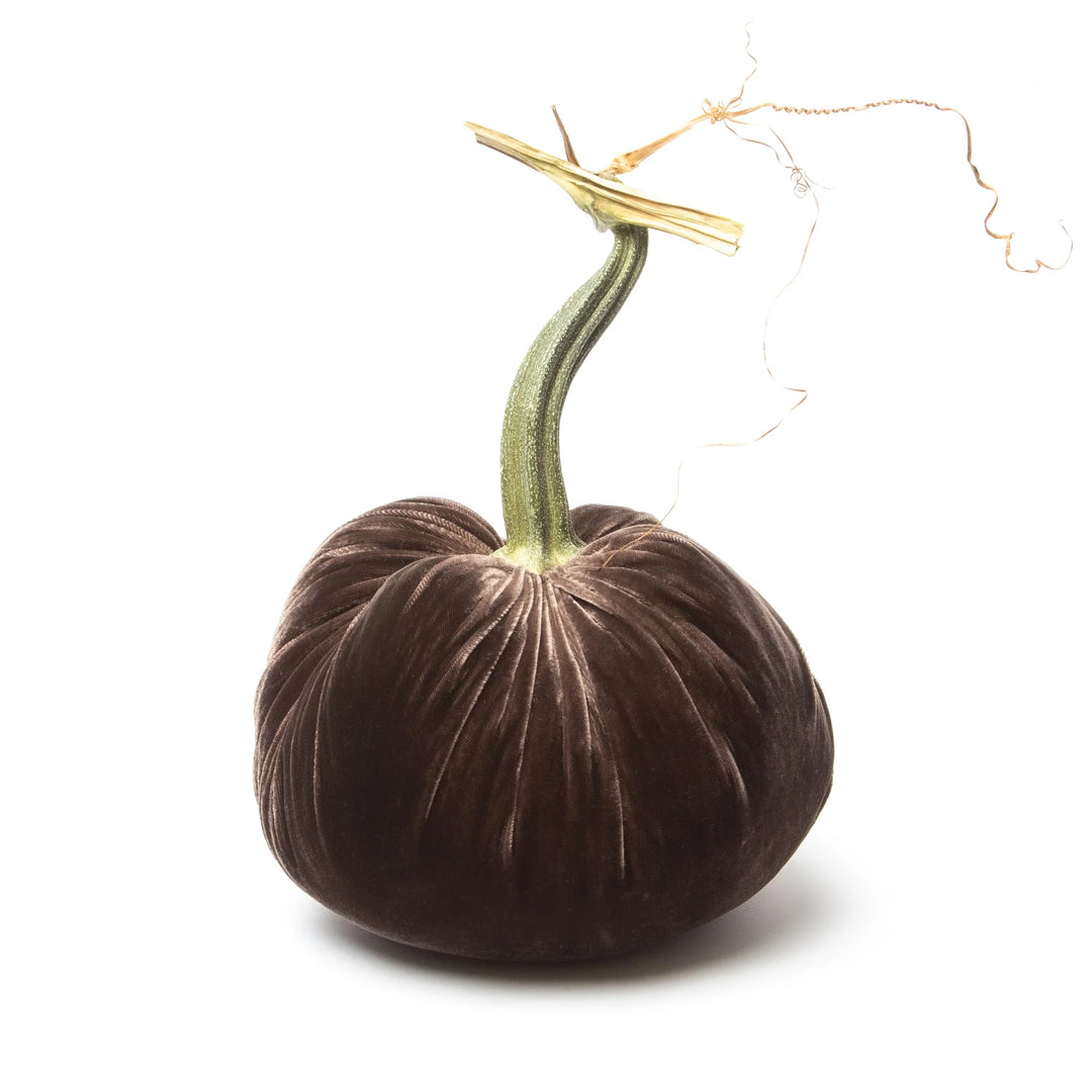 Silk Velvet Pumpkins