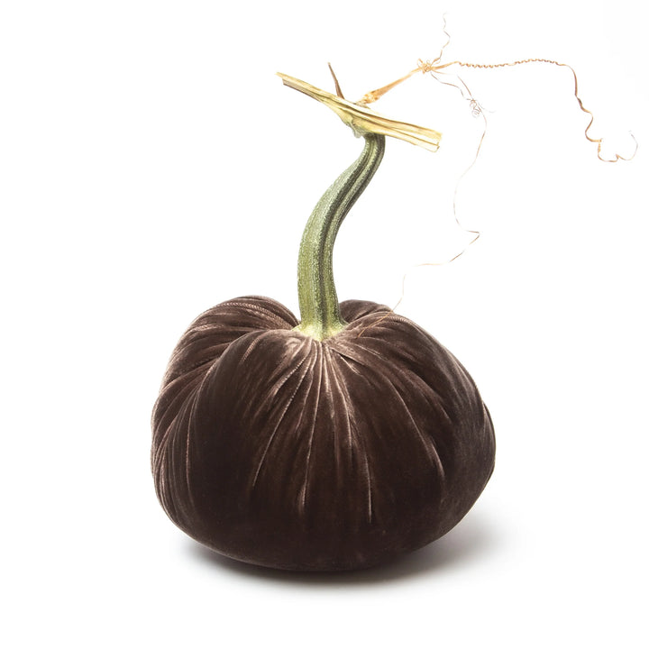 Silk Velvet Pumpkins