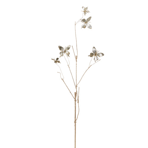 Champagne Butterfly Branch
