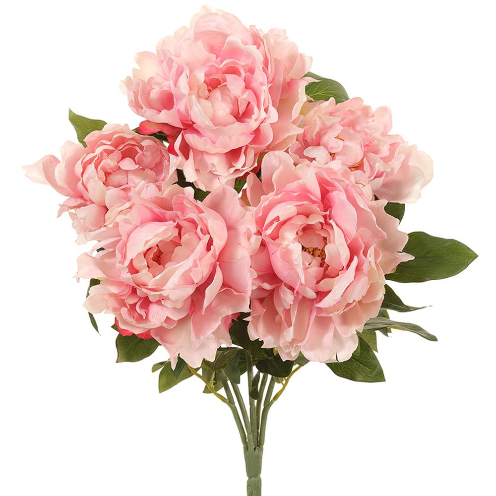 Pale Pink Peony Bundle
