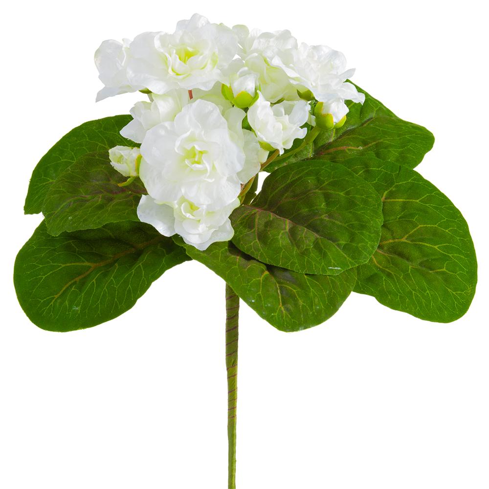 African Violet Pick