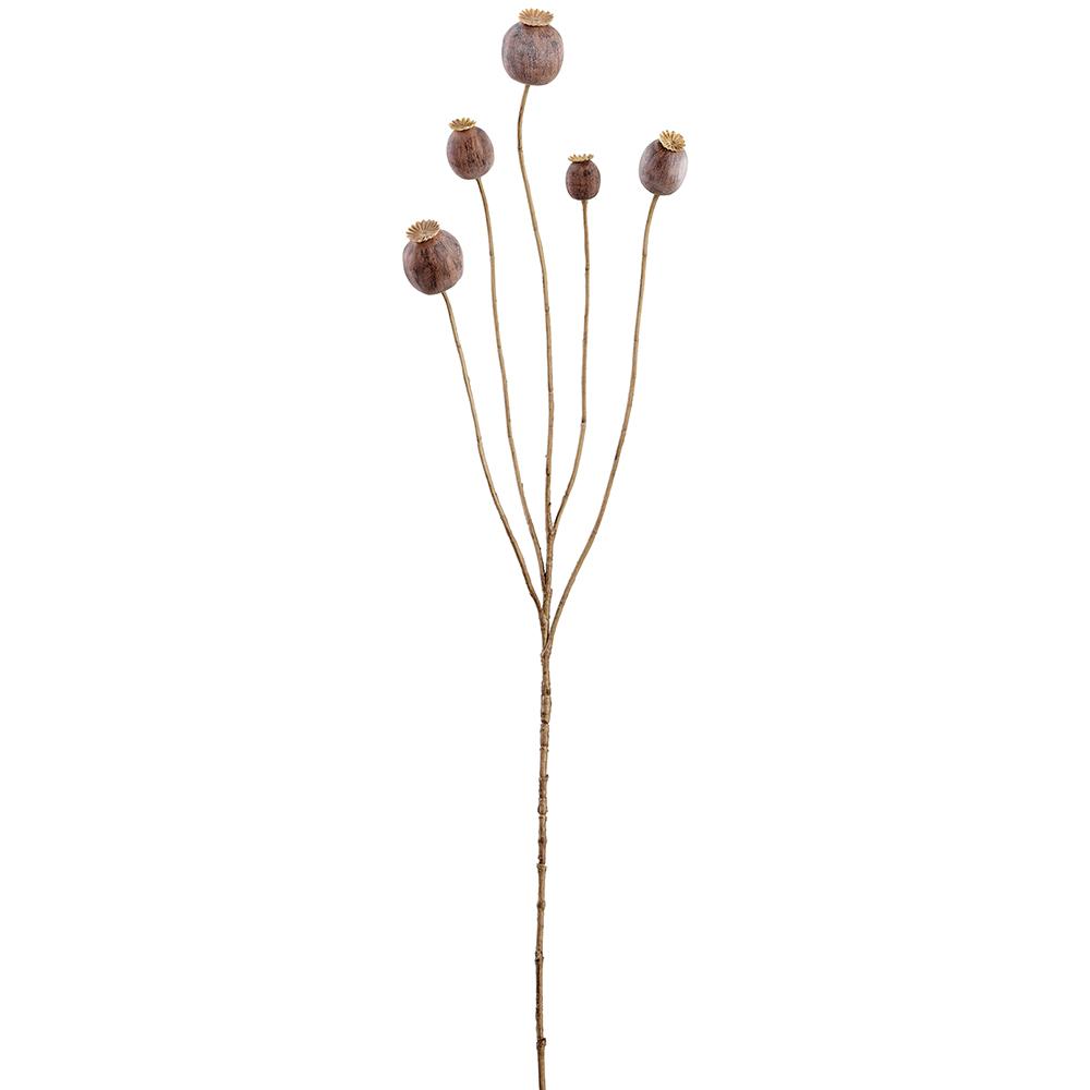 Poppy Seed Spray
