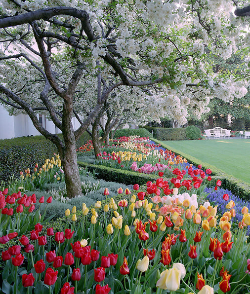 The Gardens of Bunny Mellon