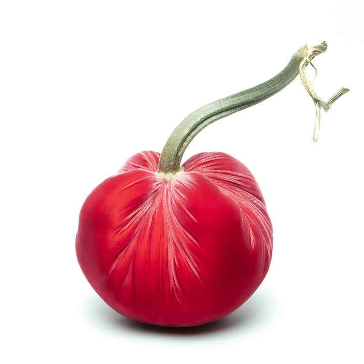 Silk Velvet Pumpkins