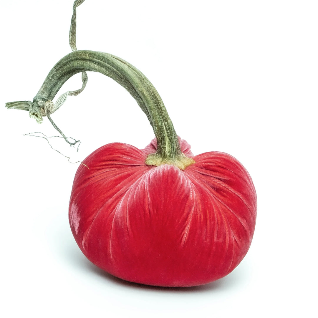 Silk Velvet Pumpkins