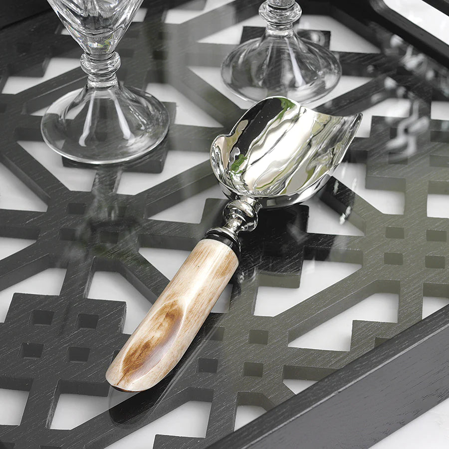 Chic Ice Scoop