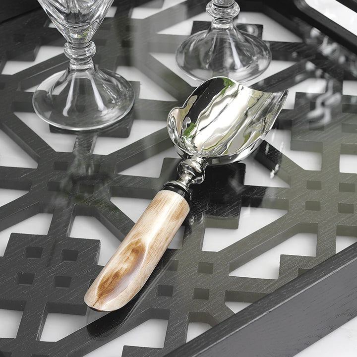 Chic Ice Scoop